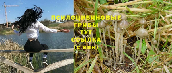 шишки Алексин