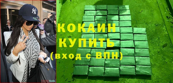 шишки Алексин