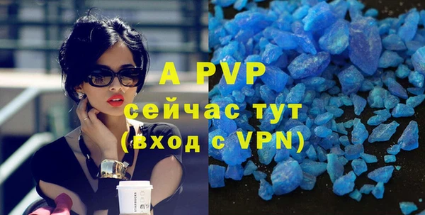 apvp Алзамай