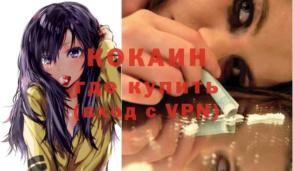 apvp Алзамай