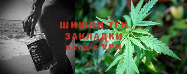 шишки Алексин