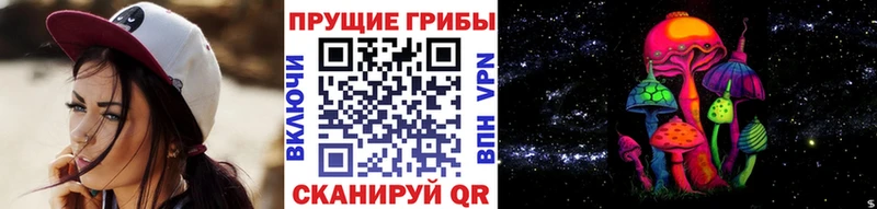 Псилоцибиновые грибы Psilocybe  цены   Гдов 