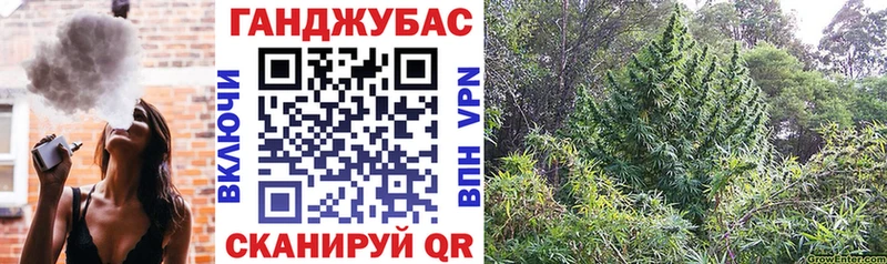 Конопля ГИДРОПОН  Гдов 